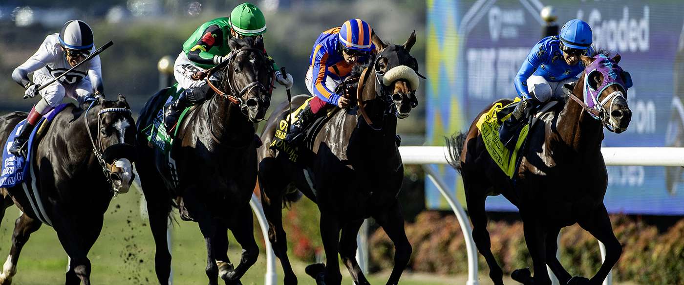 Article Photo Thumbnail