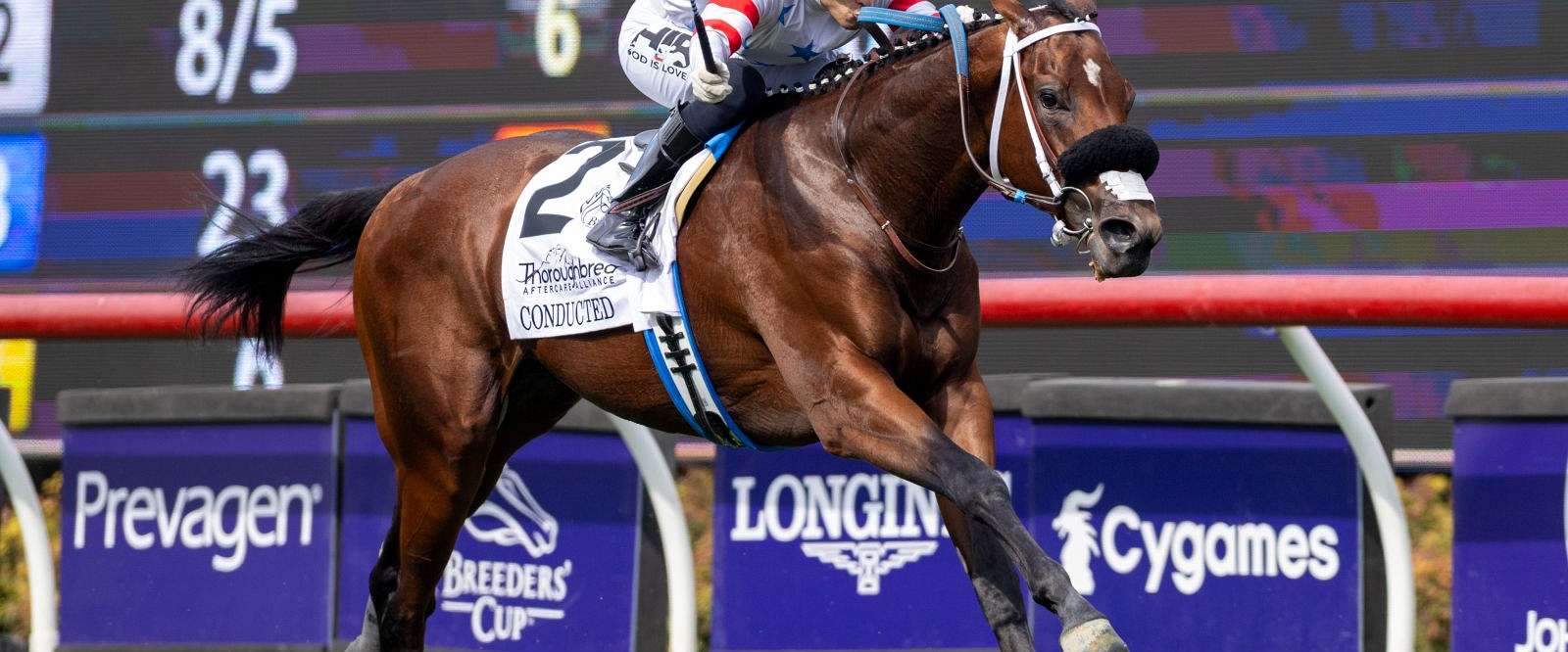 Article Photo Thumbnail