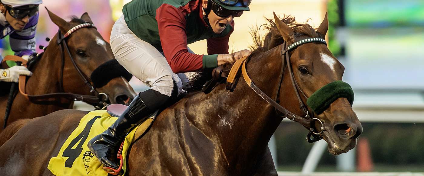 Article Photo Thumbnail