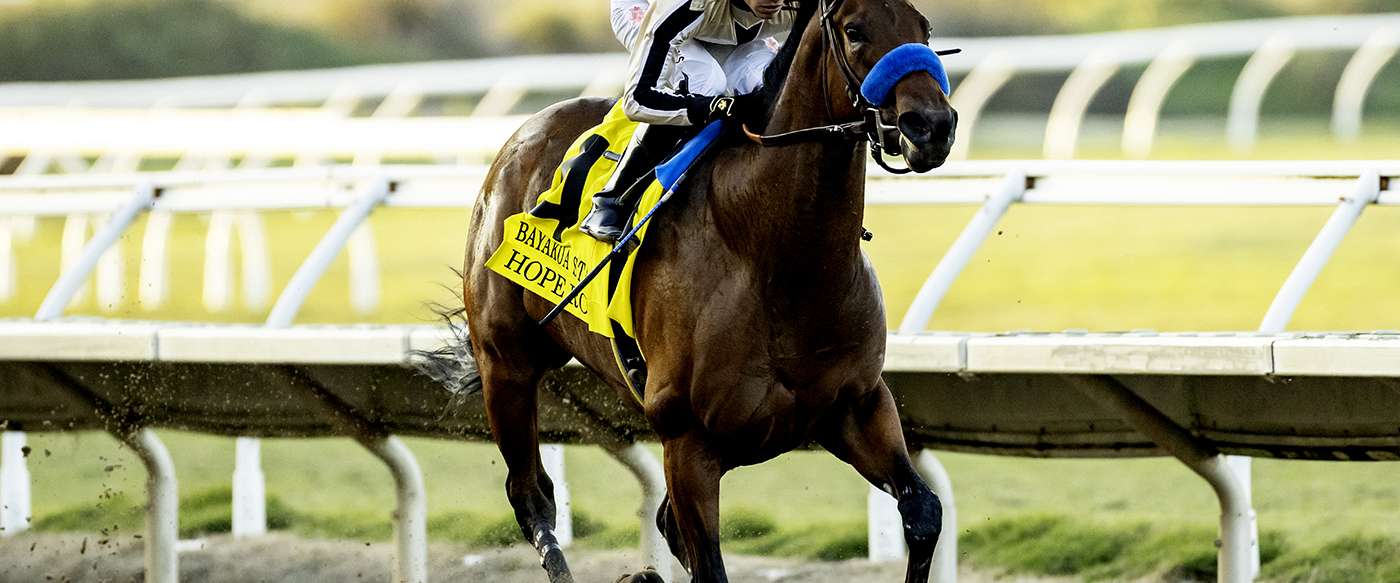 Article Photo Thumbnail