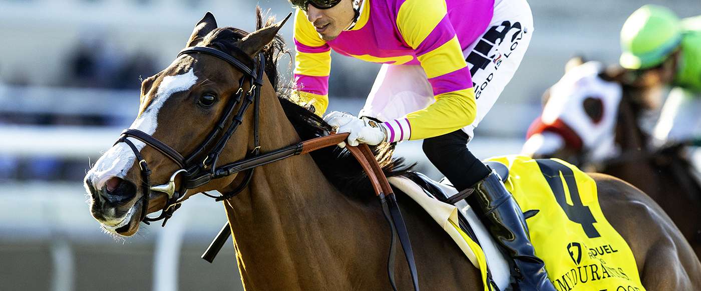 Article Photo Thumbnail