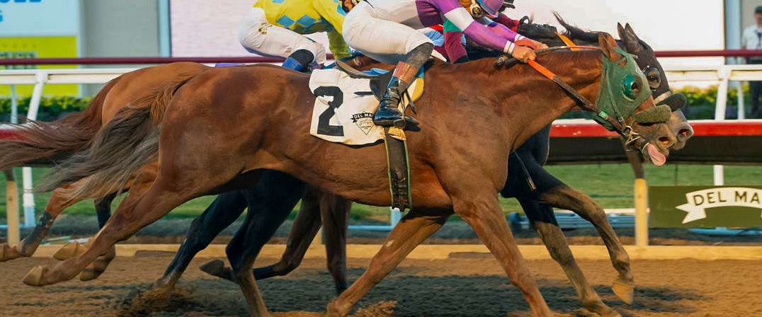 Article Photo Thumbnail