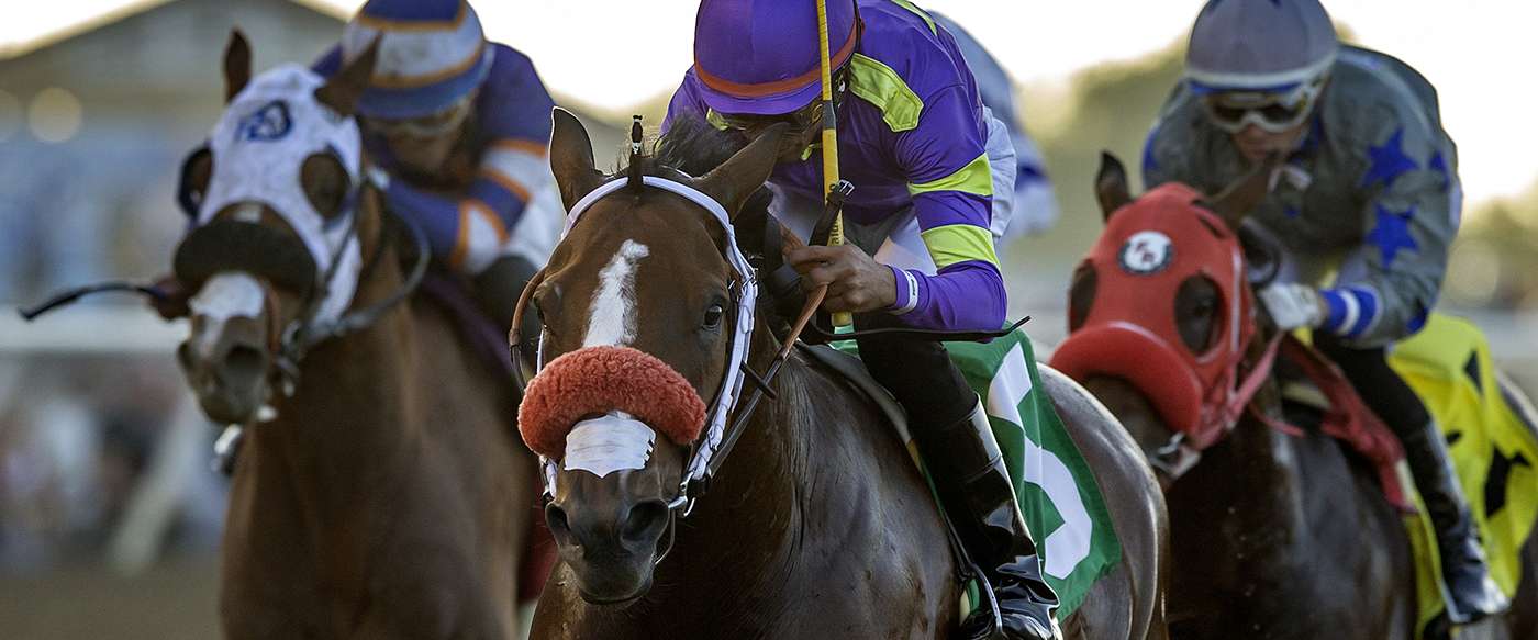 Article Photo Thumbnail