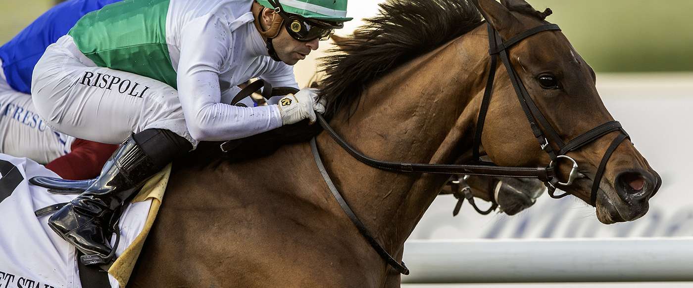 Article Photo Thumbnail