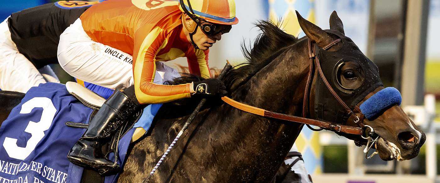 Article Photo Thumbnail