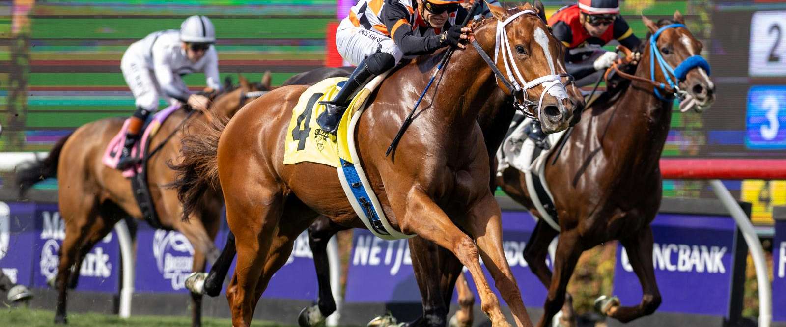 Article Photo Thumbnail