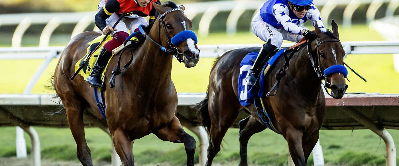 Article Photo Thumbnail