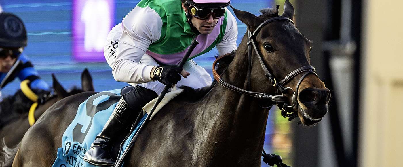 Article Photo Thumbnail