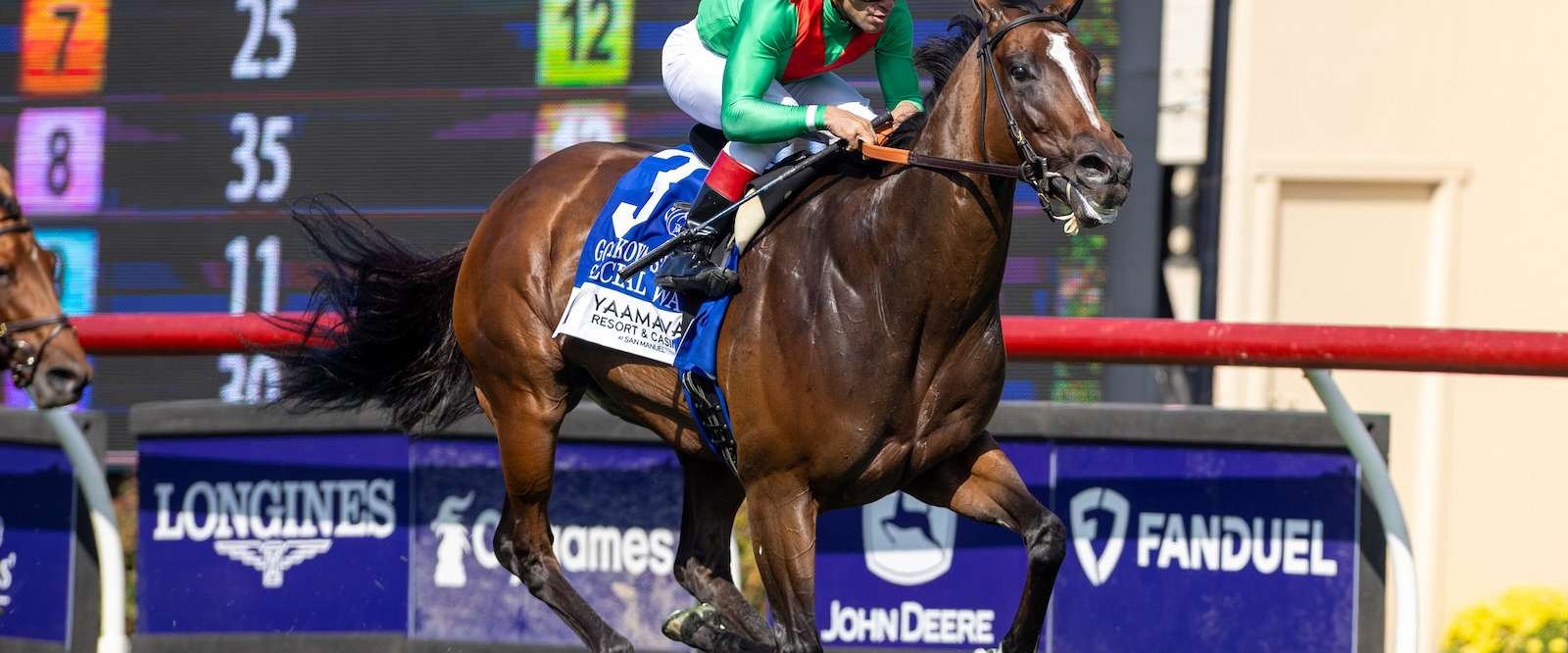 Article Photo Thumbnail