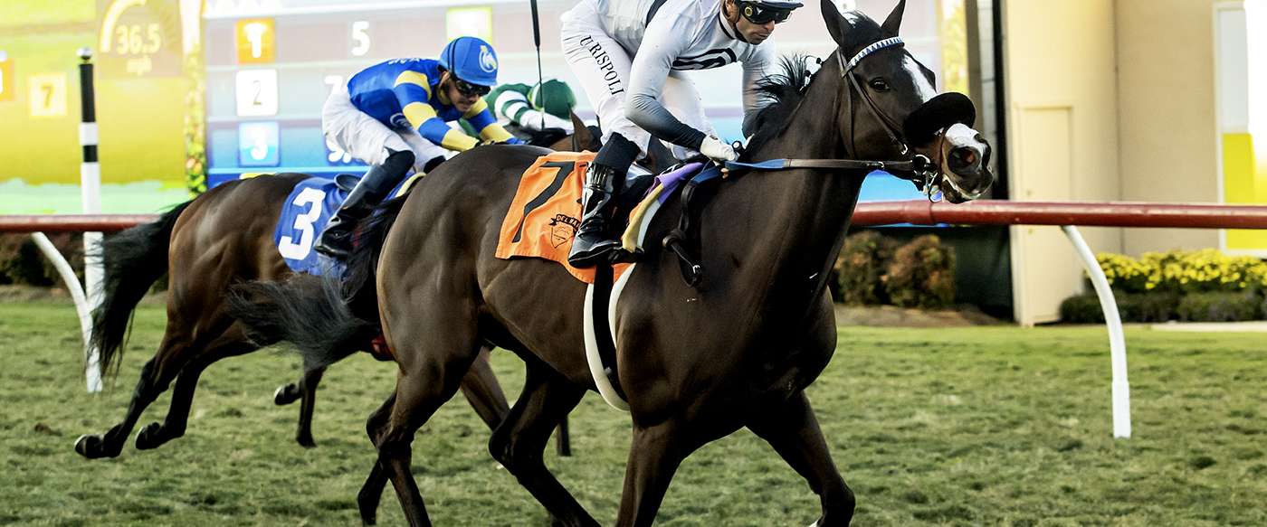 Article Photo Thumbnail