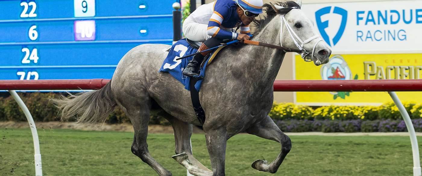 Article Photo Thumbnail