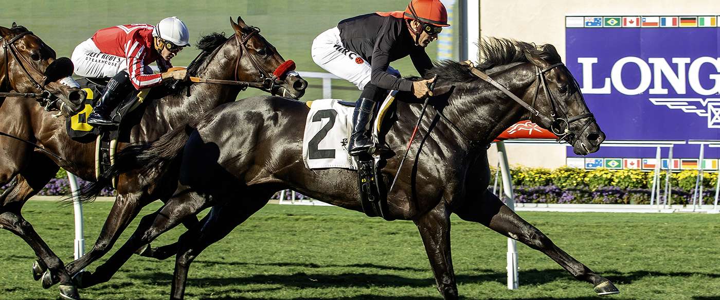 Article Photo Thumbnail