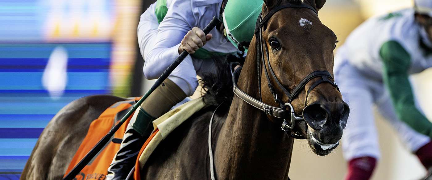 Article Photo Thumbnail