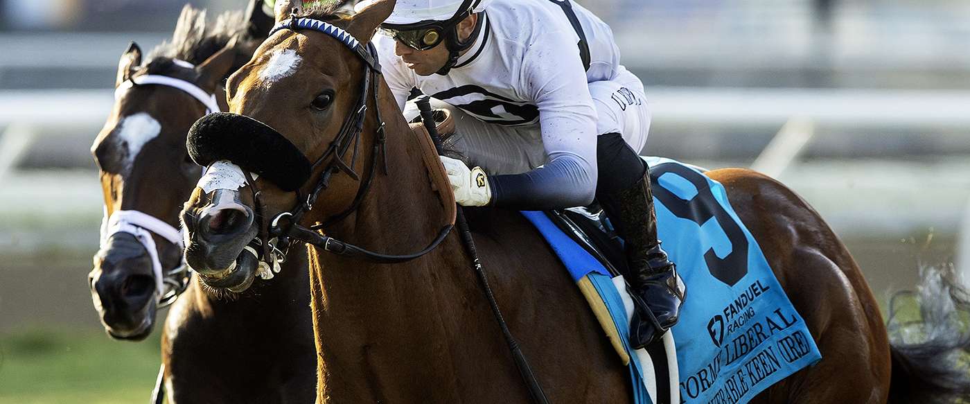 Article Photo Thumbnail