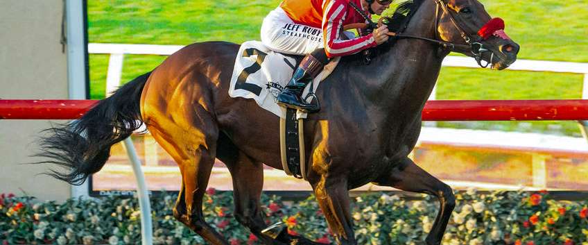 Article Photo Thumbnail