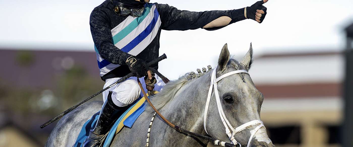 Article Photo Thumbnail