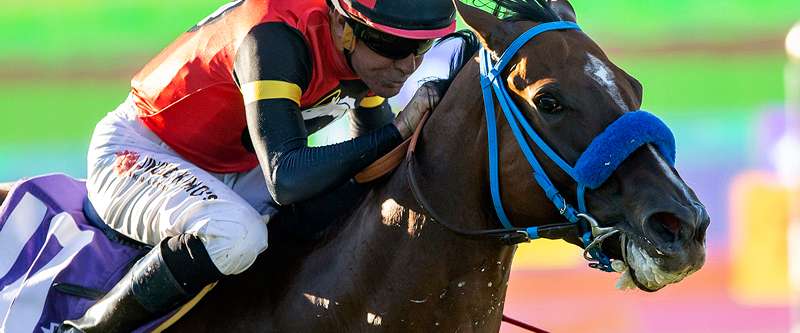 Article Photo Thumbnail