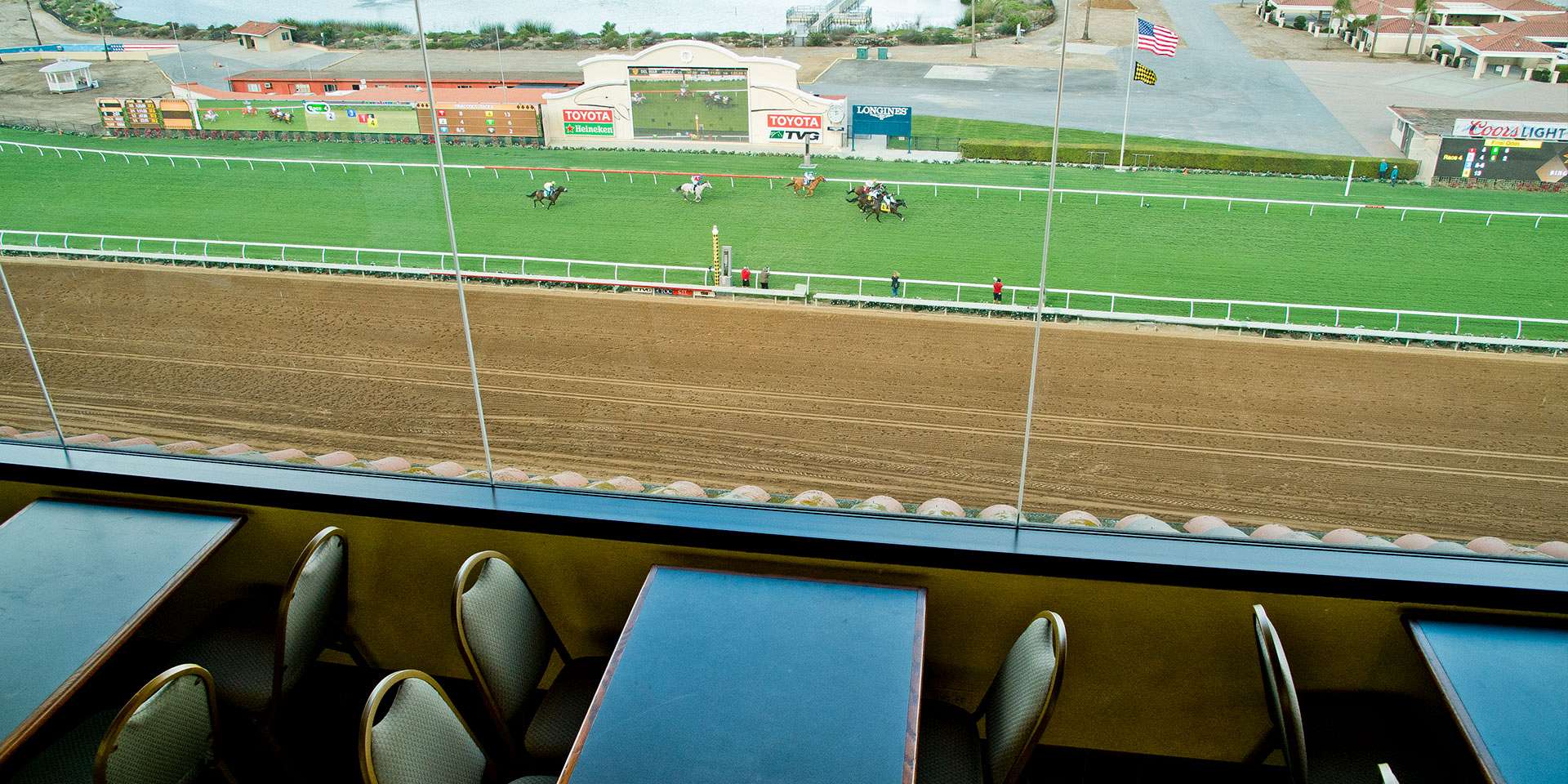 paddock