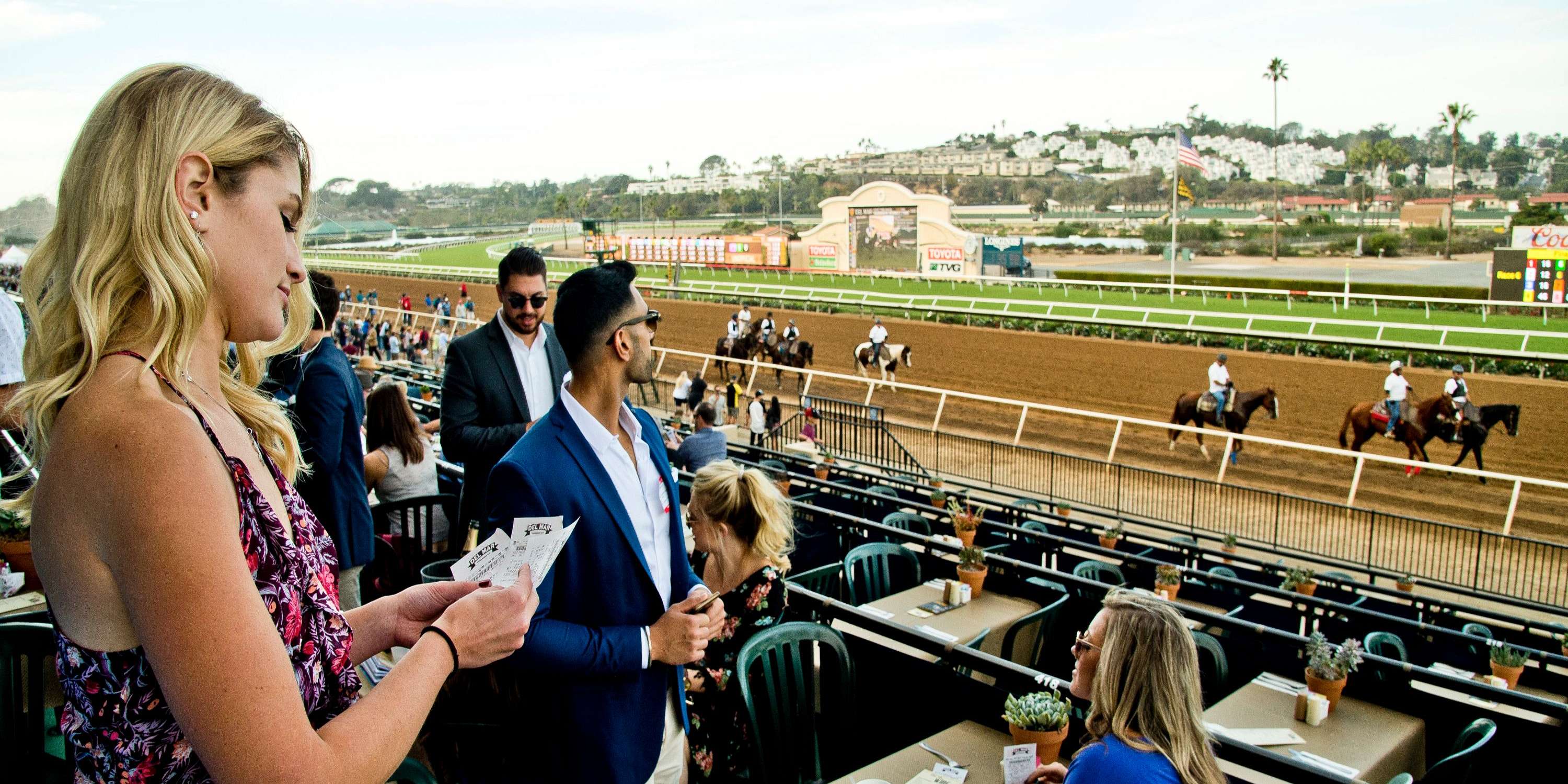 racehorses