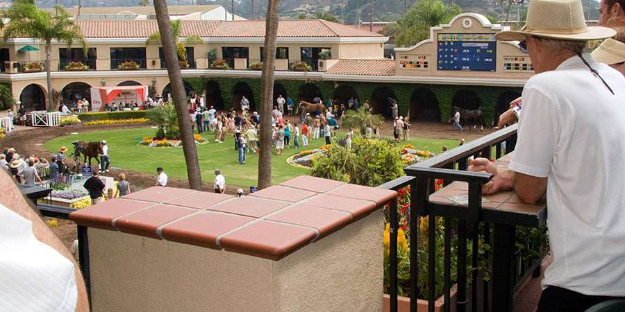 Paddock View Patio