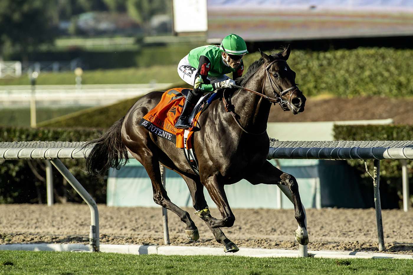 Article Photo Thumbnail