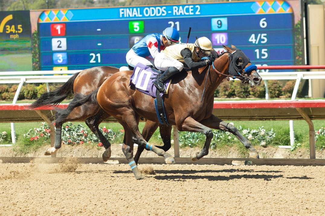 Article Photo Thumbnail