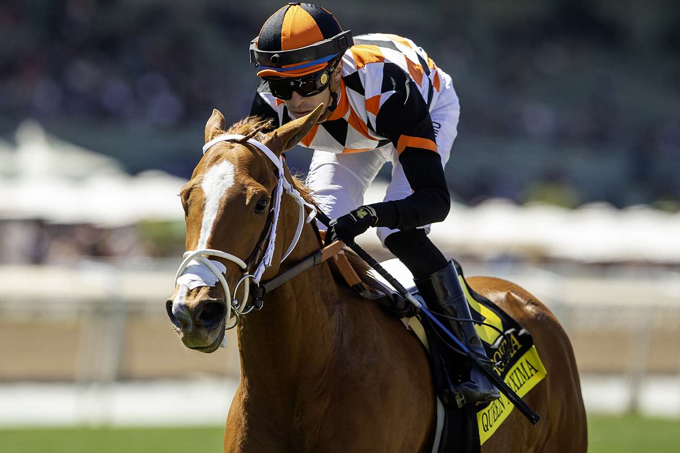 Article Photo Thumbnail