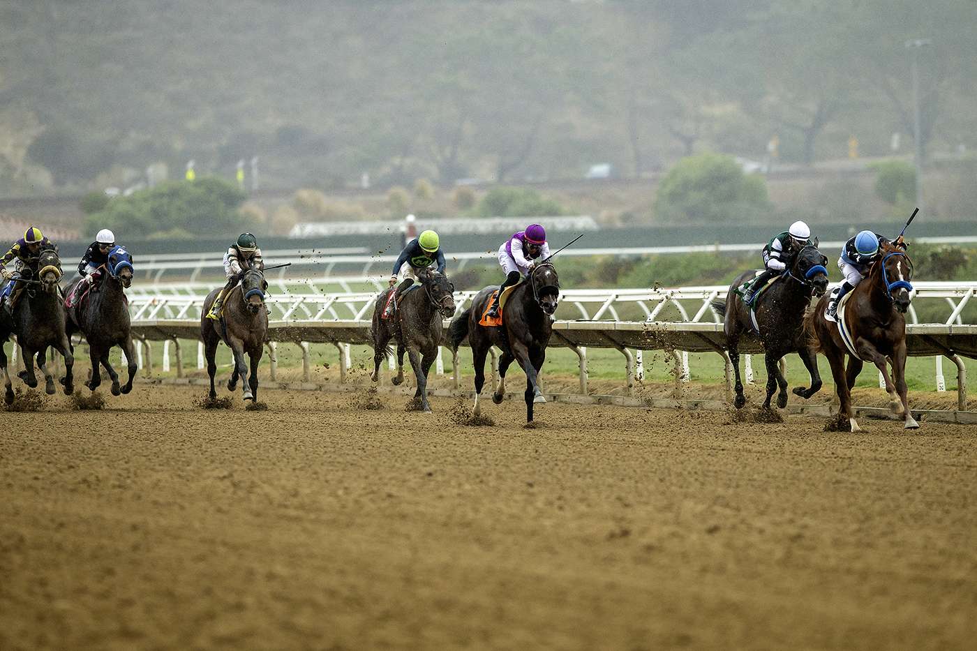 Article Photo Thumbnail