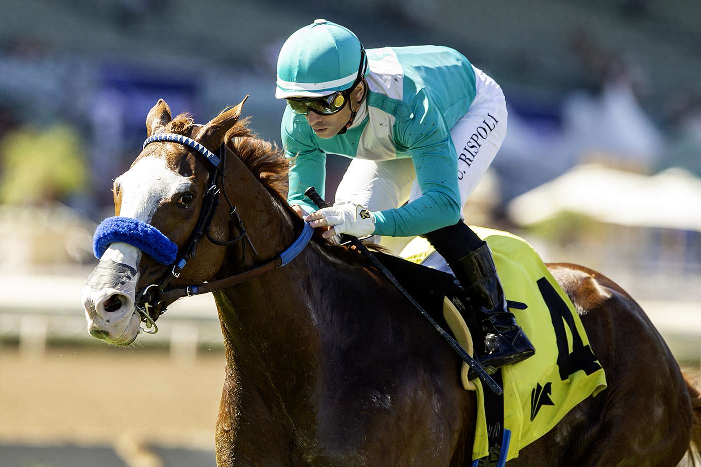 Article Photo Thumbnail