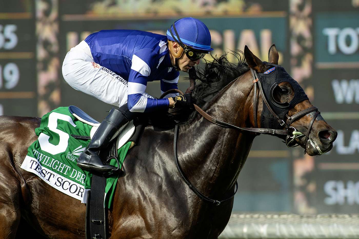 Article Photo Thumbnail