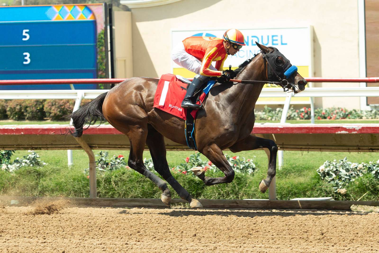 Article Photo Thumbnail