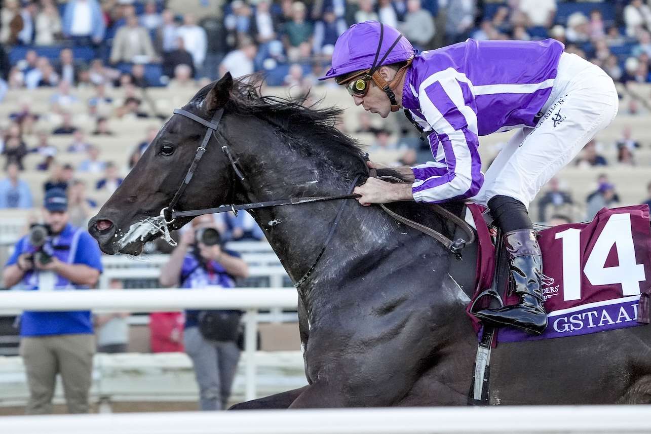 Article Photo Thumbnail