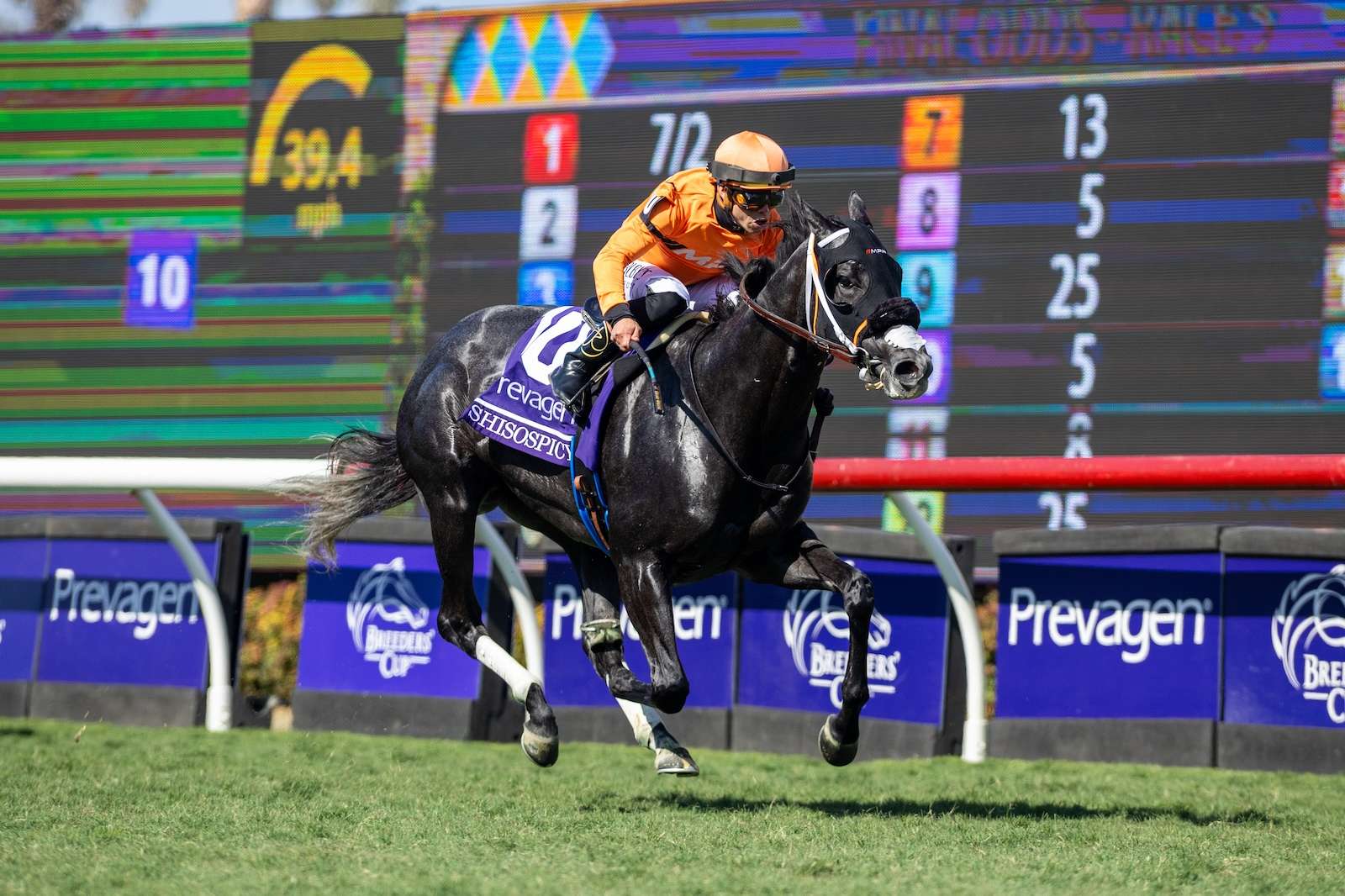 Article Photo Thumbnail