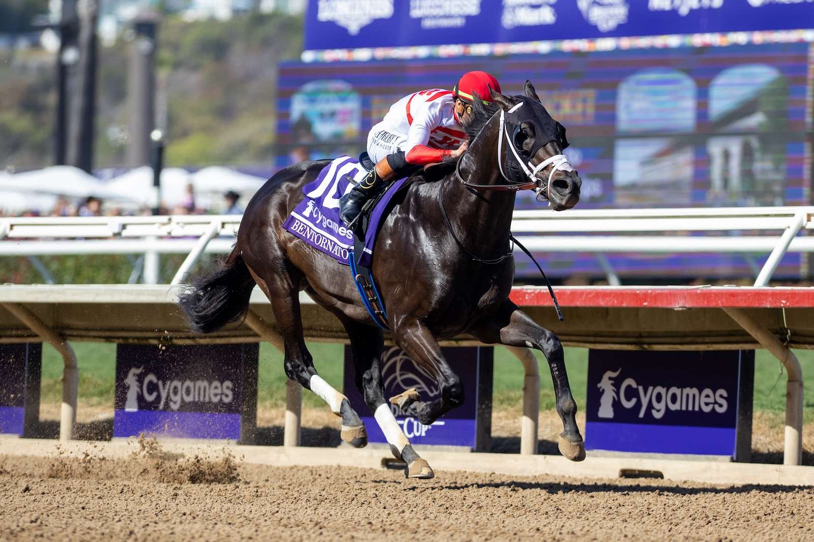 Article Photo Thumbnail