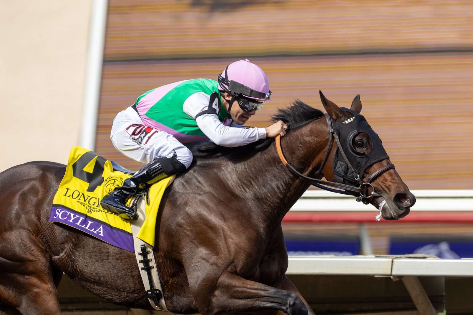 Article Photo Thumbnail