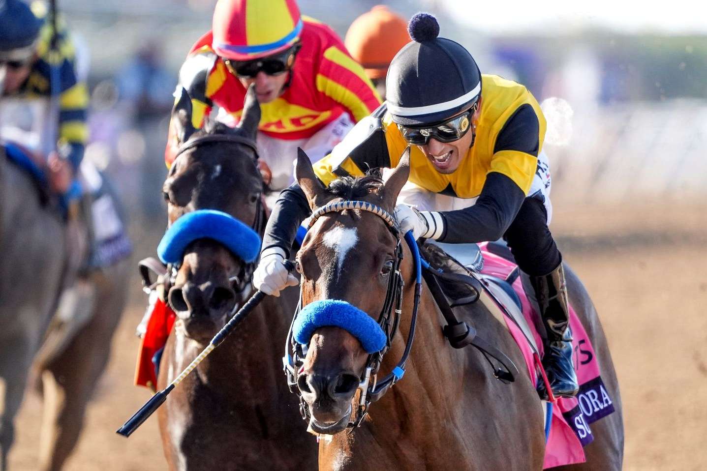 Article Photo Thumbnail