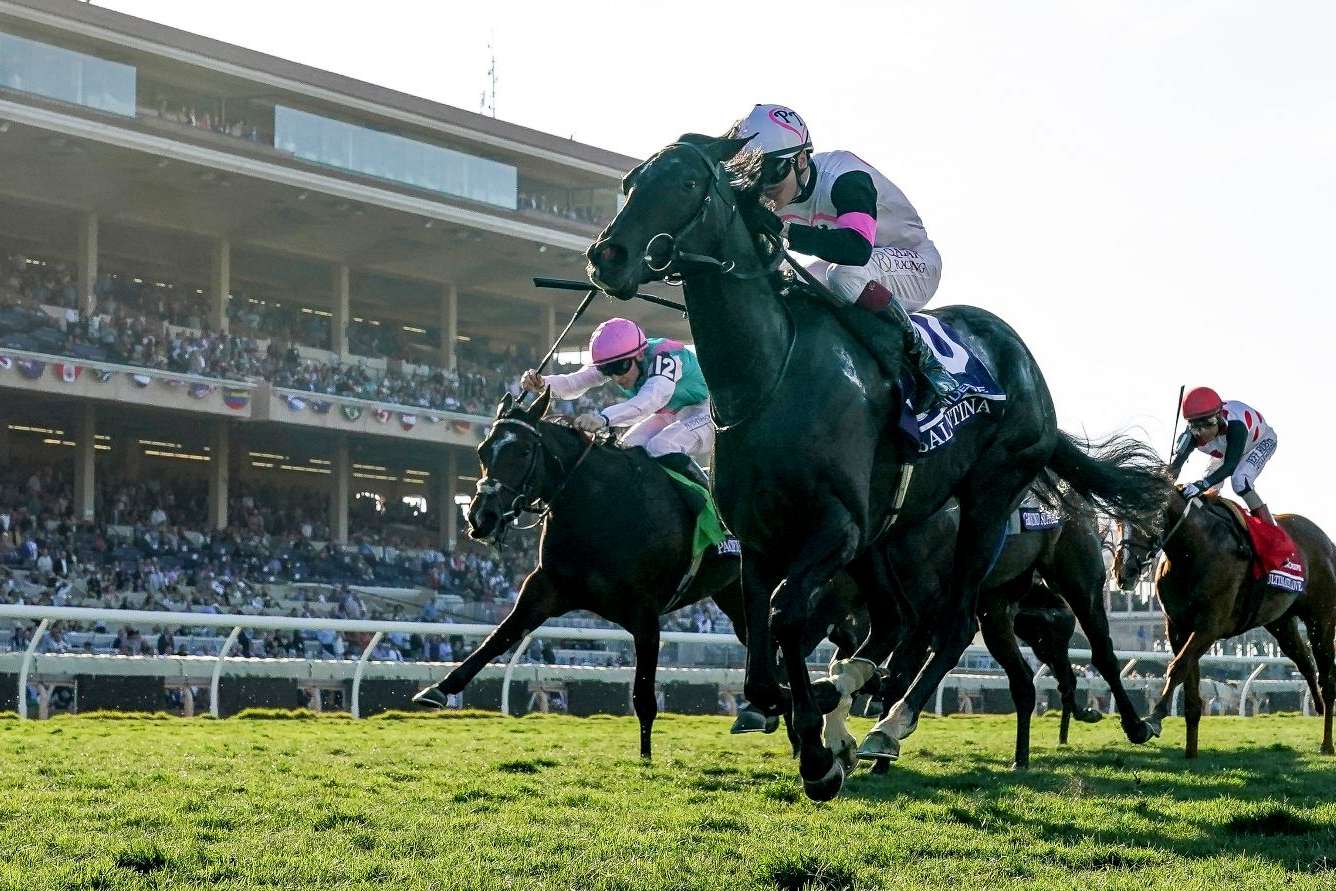 Article Photo Thumbnail