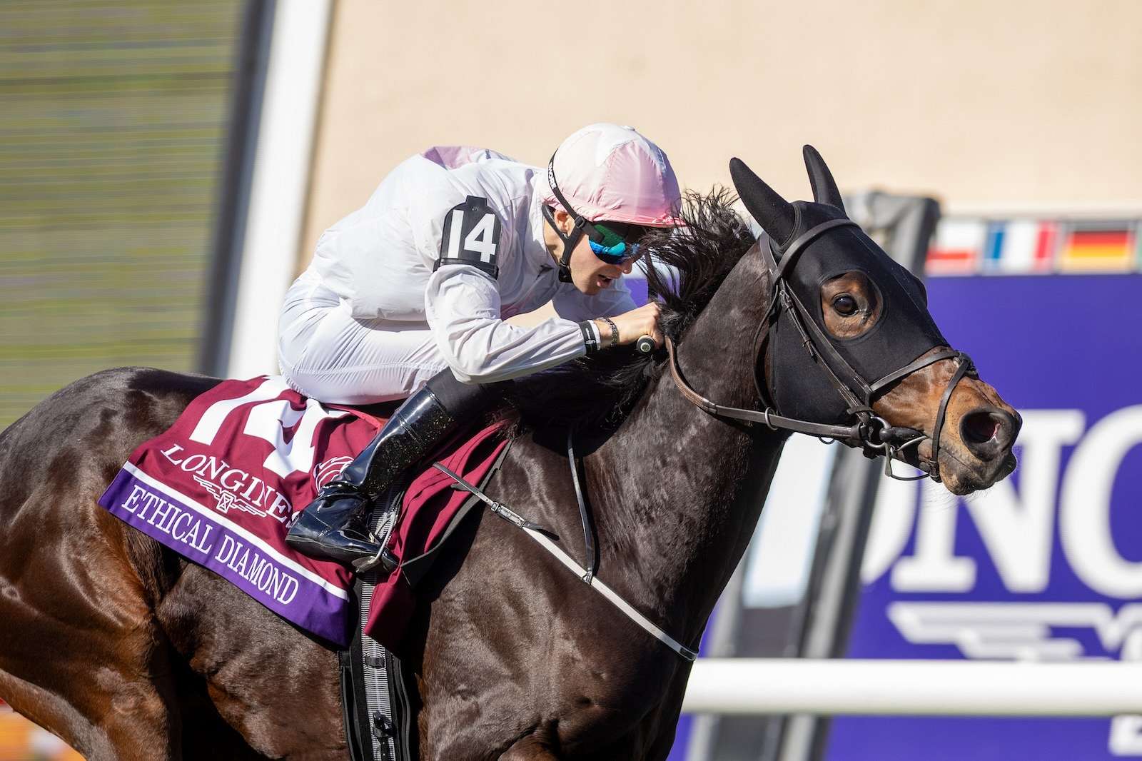 Article Photo Thumbnail