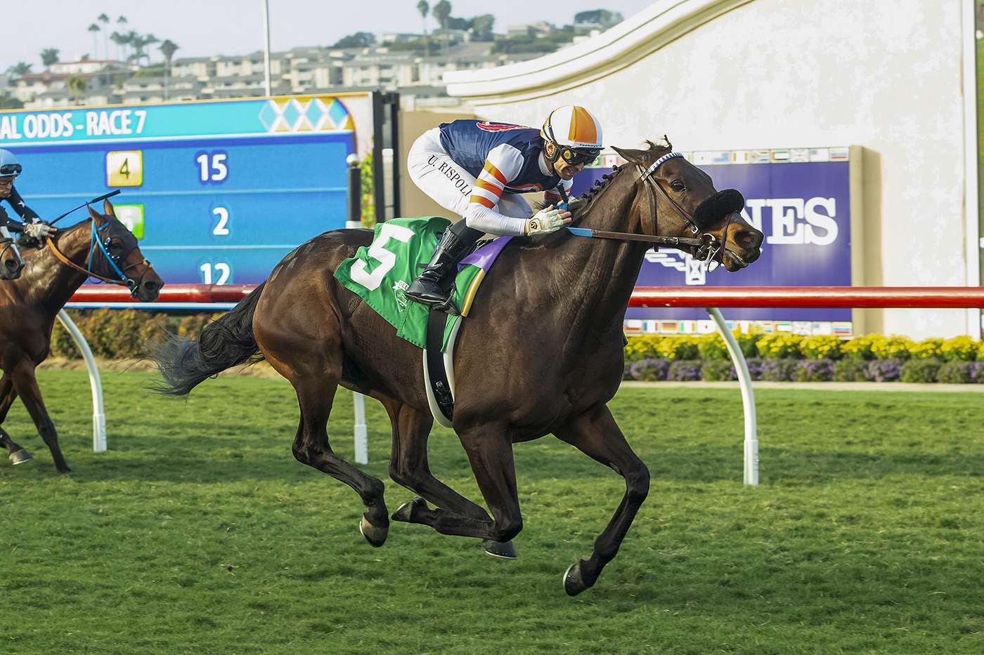 Article Photo Thumbnail