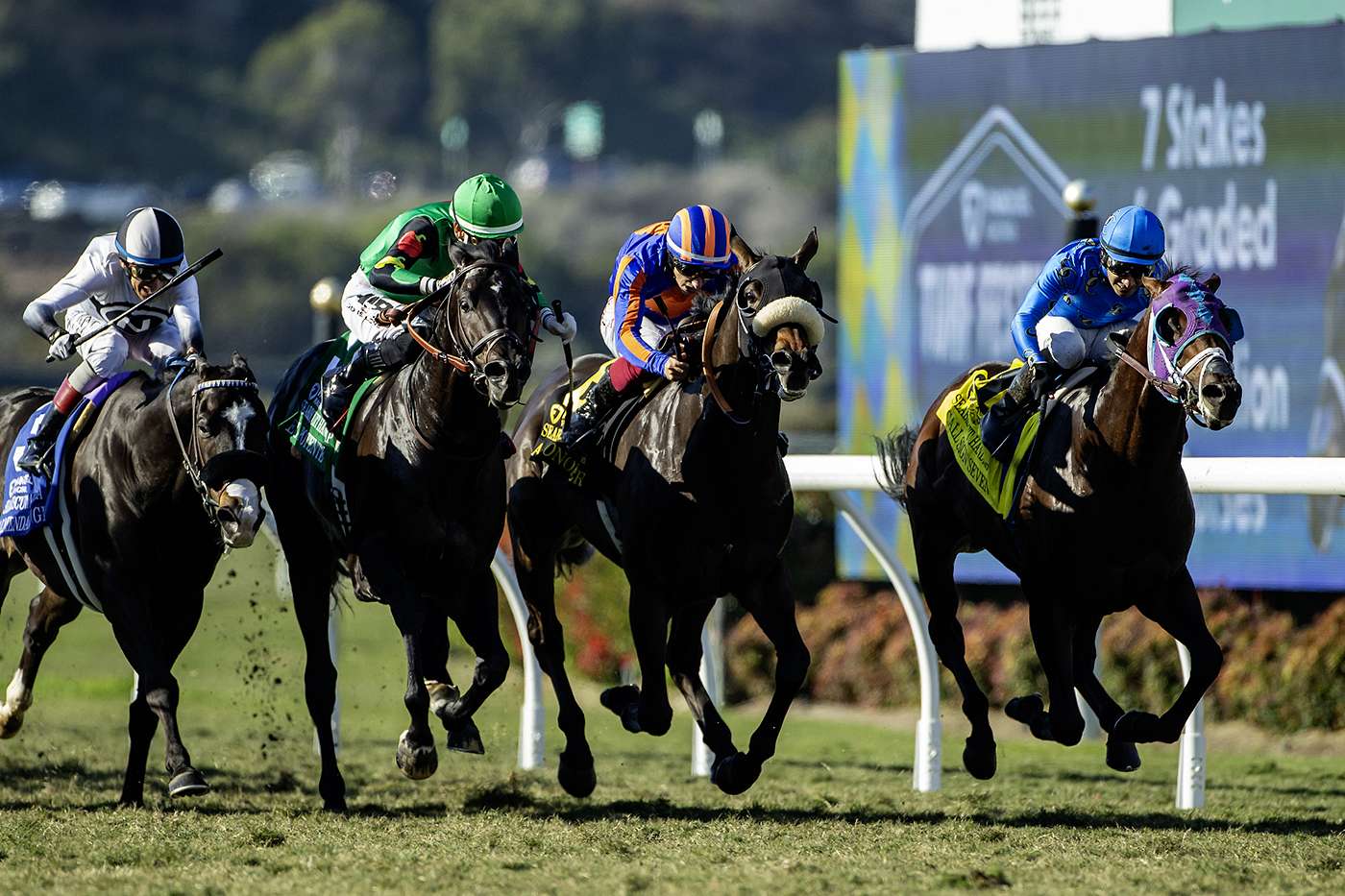 Article Photo Thumbnail