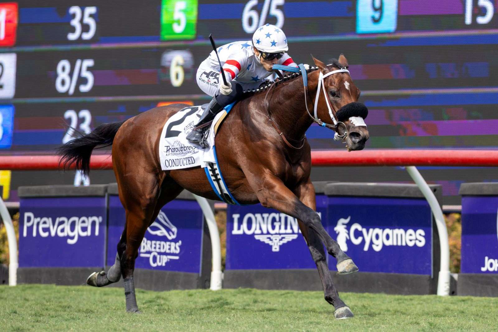 Article Photo Thumbnail