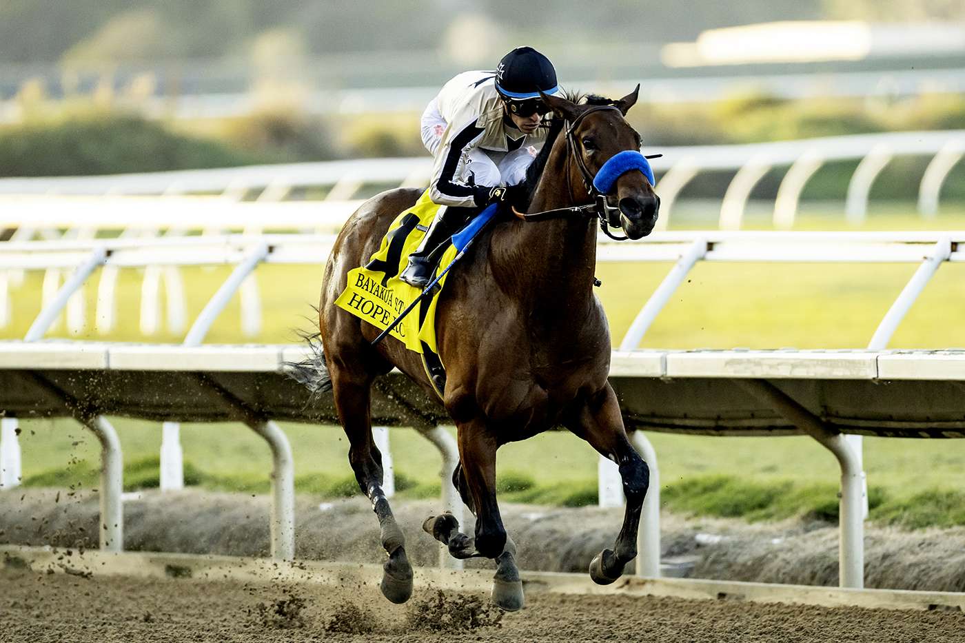 Article Photo Thumbnail