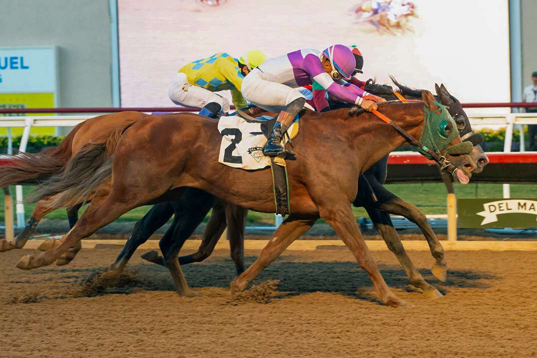 Article Photo Thumbnail