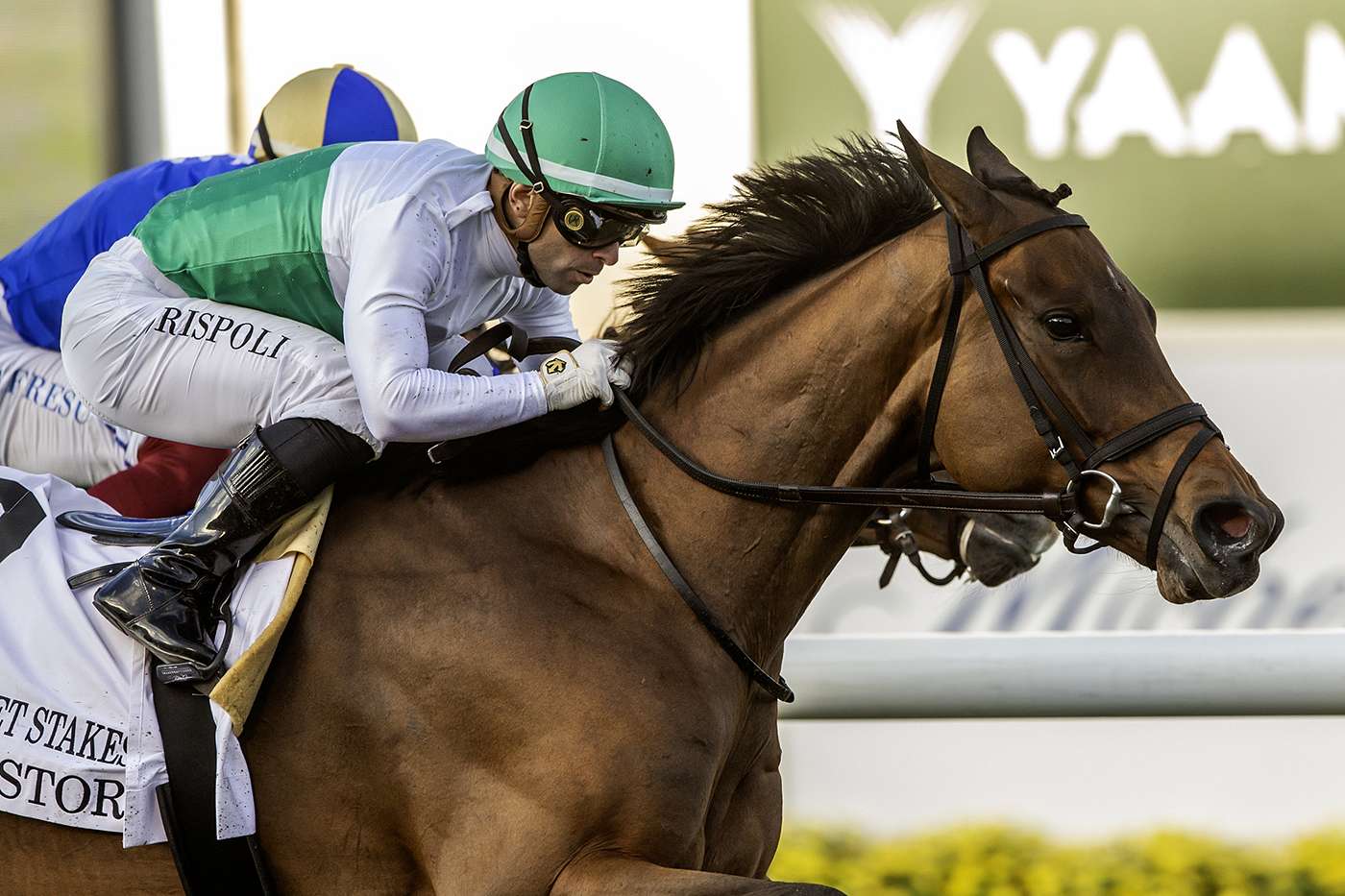 Article Photo Thumbnail