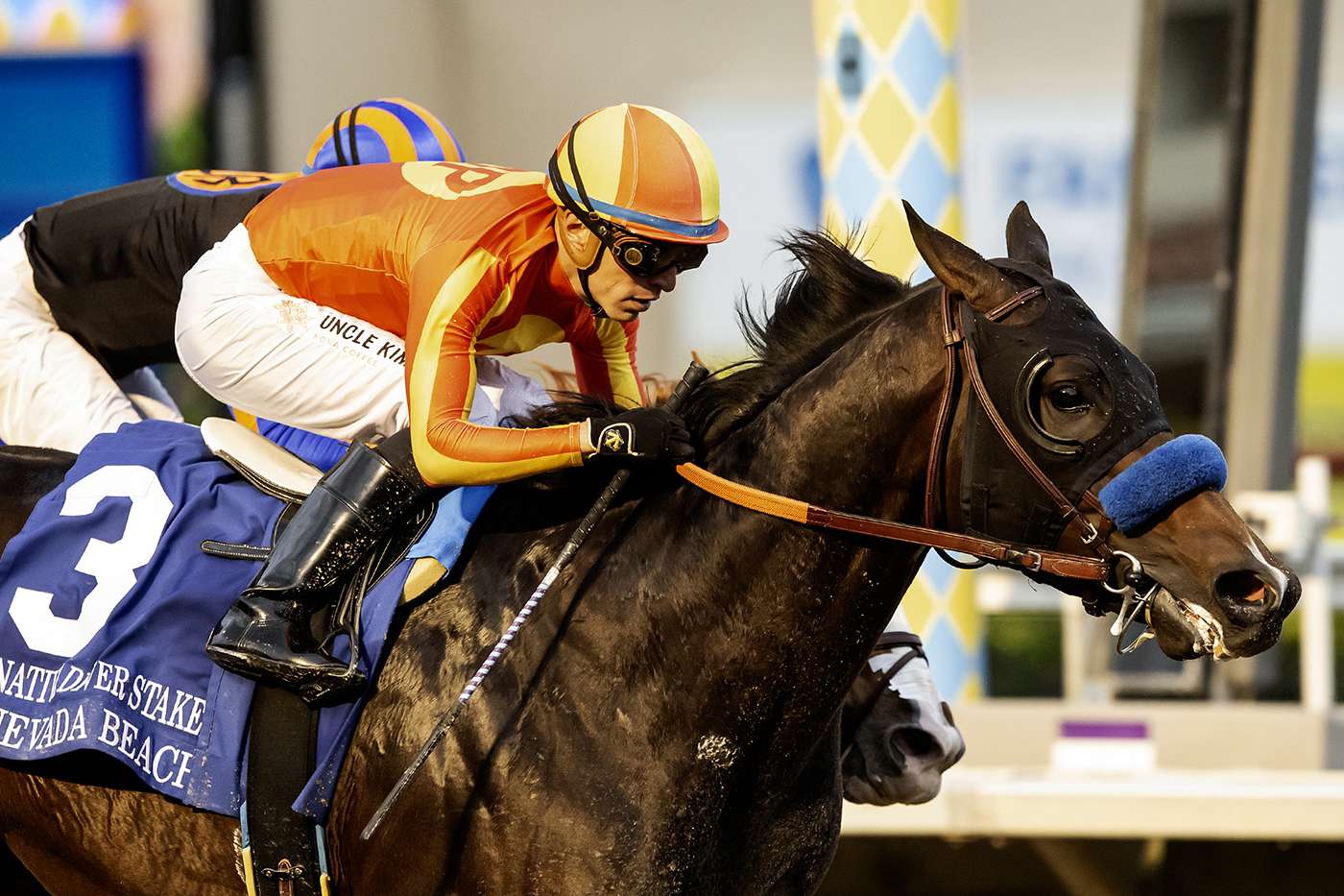 Article Photo Thumbnail