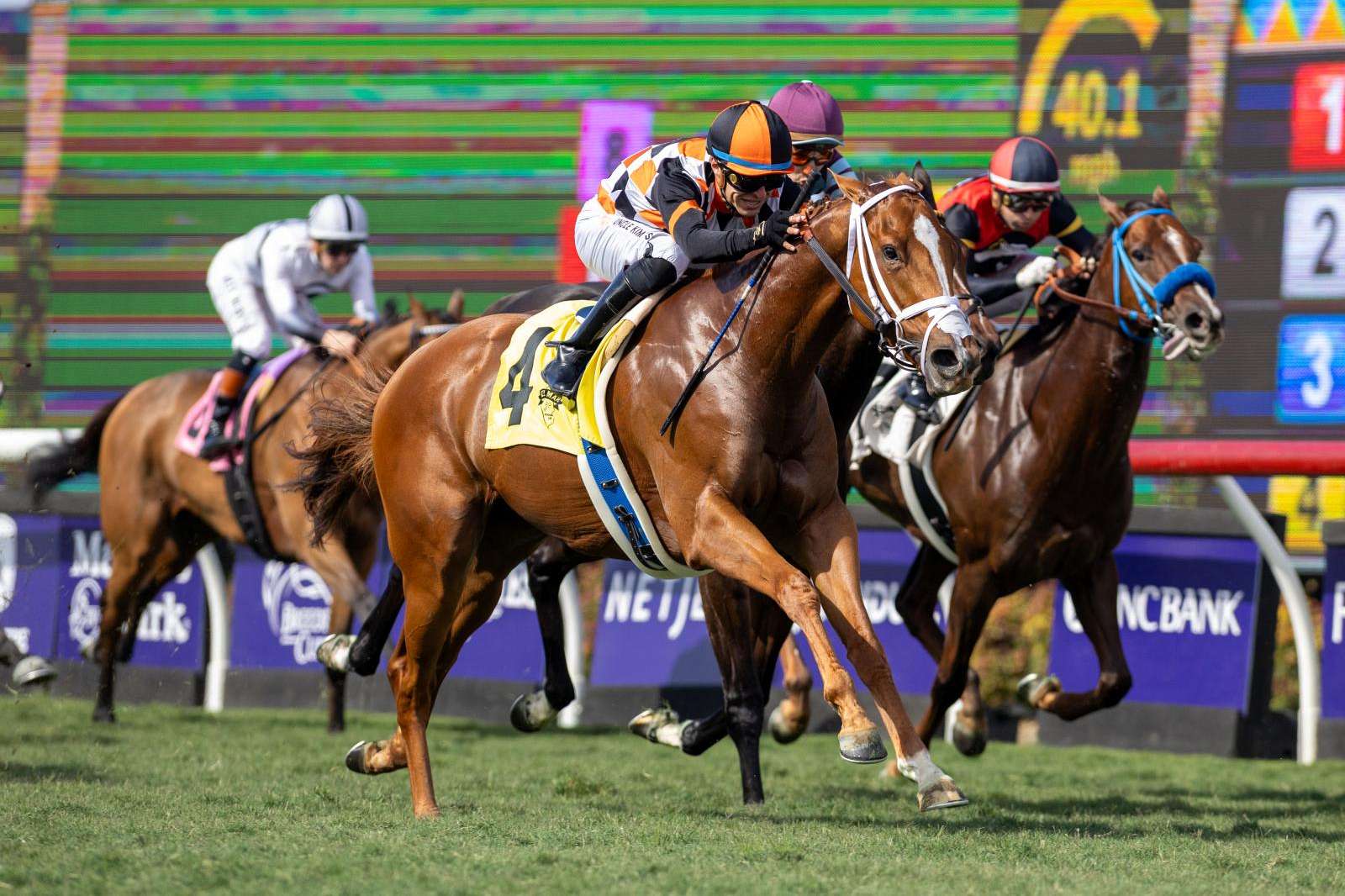 Article Photo Thumbnail