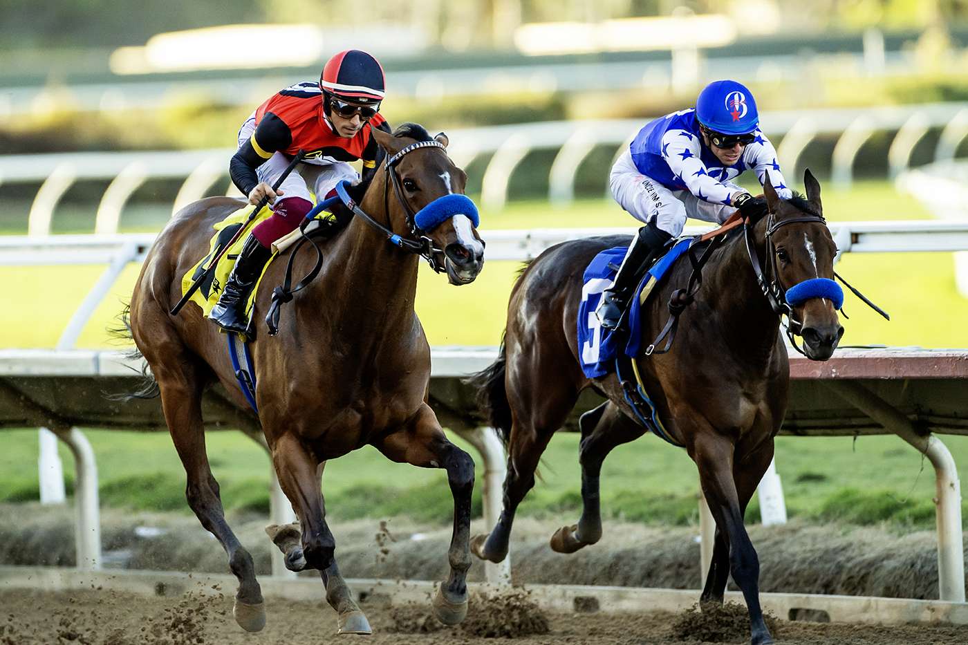 Article Photo Thumbnail