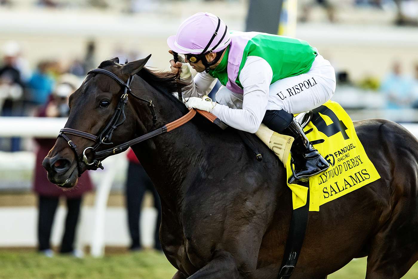 Article Photo Thumbnail