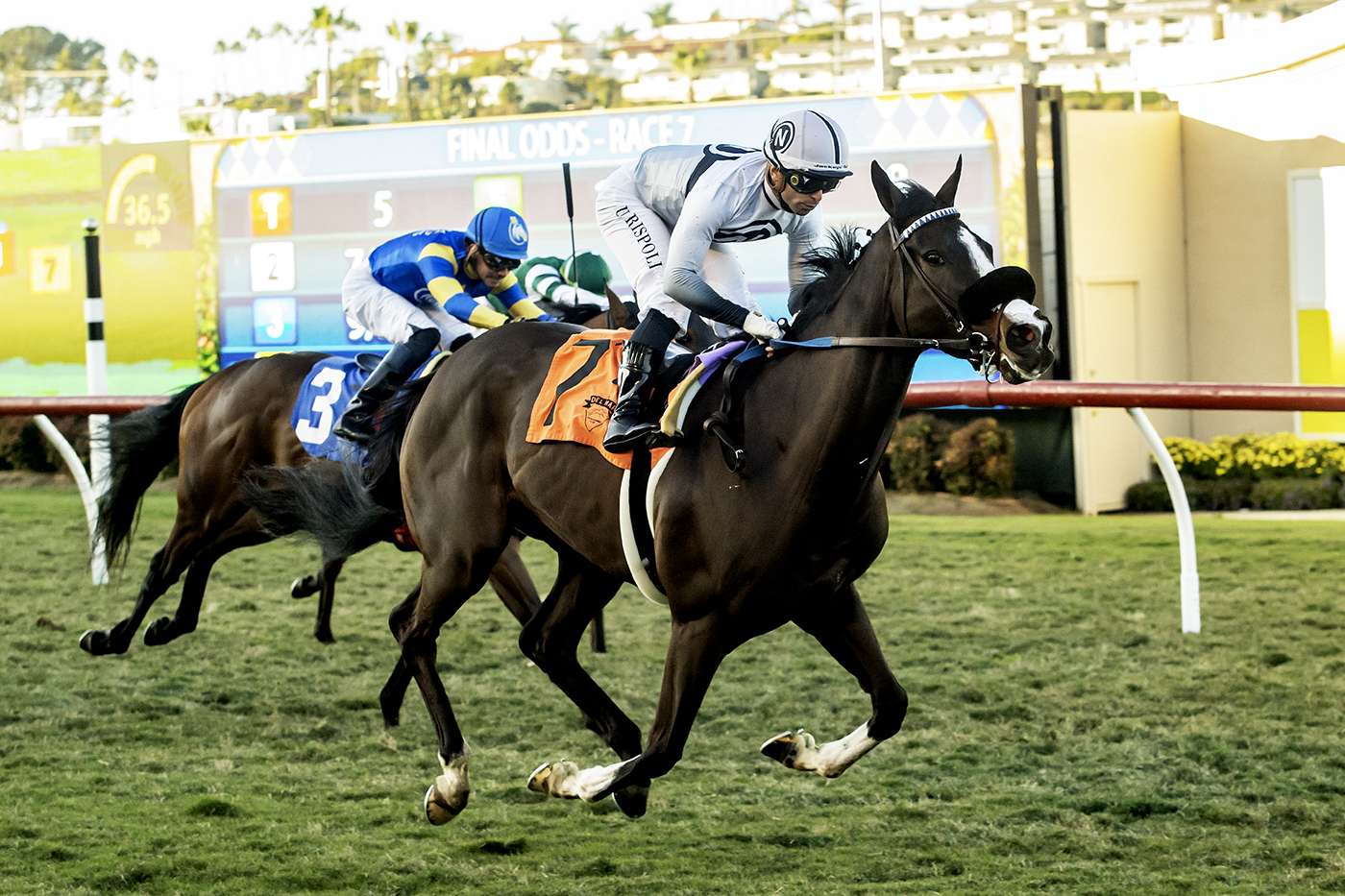 Article Photo Thumbnail