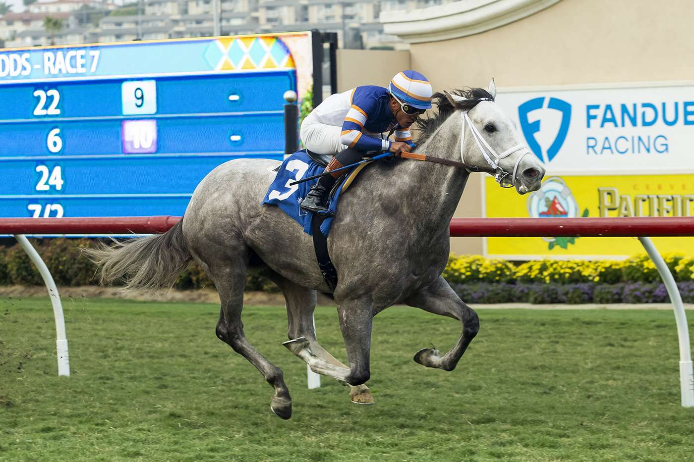 Article Photo Thumbnail